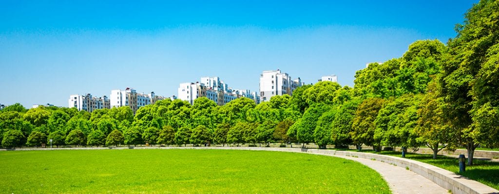 Parco con prato e alberi nei pressi di una zona residenziale