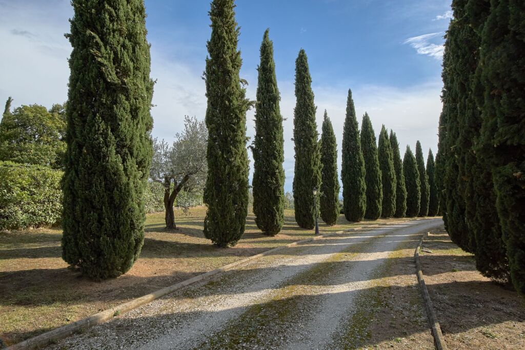 villa in vendita a Sacrofano nel parco di Veio Facile Immobiliare