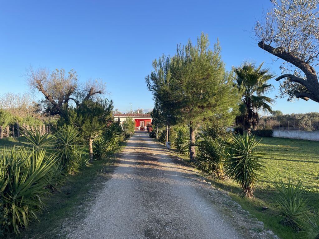 Villa in vendita a Francavilla Fontana con giardino Facile Immobiliare